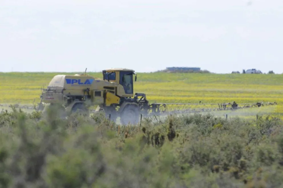 Enojo y malestar en la Lobería por fumigación a pocos metros de la reserva