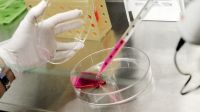 Científicos del Conicet desarrollan un test para la detección temprana del cáncer de mama y próstata