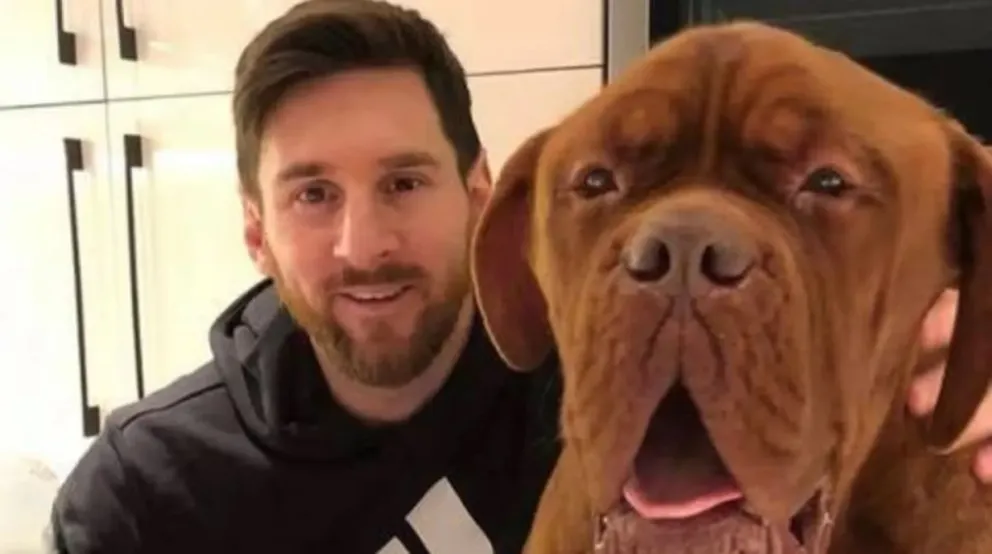 Fin del misterio: Messi contó que pasó con su perro Hulk