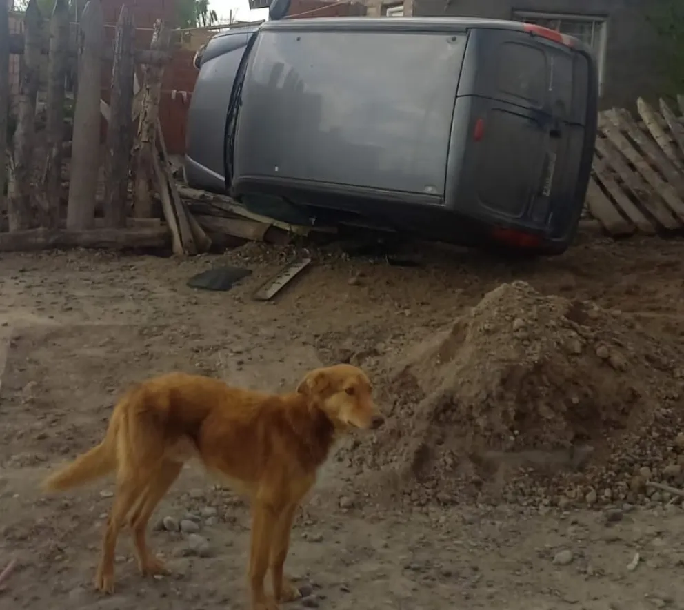 Conducía borracho, volcó sobre una casa y entre las roturas ligó la cucha del perro