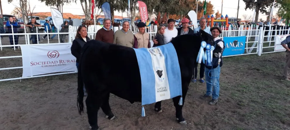 Tabaré Bassi: “La meta tiene que ser que el país esté libre de fiebre aftosa sin vacunación”