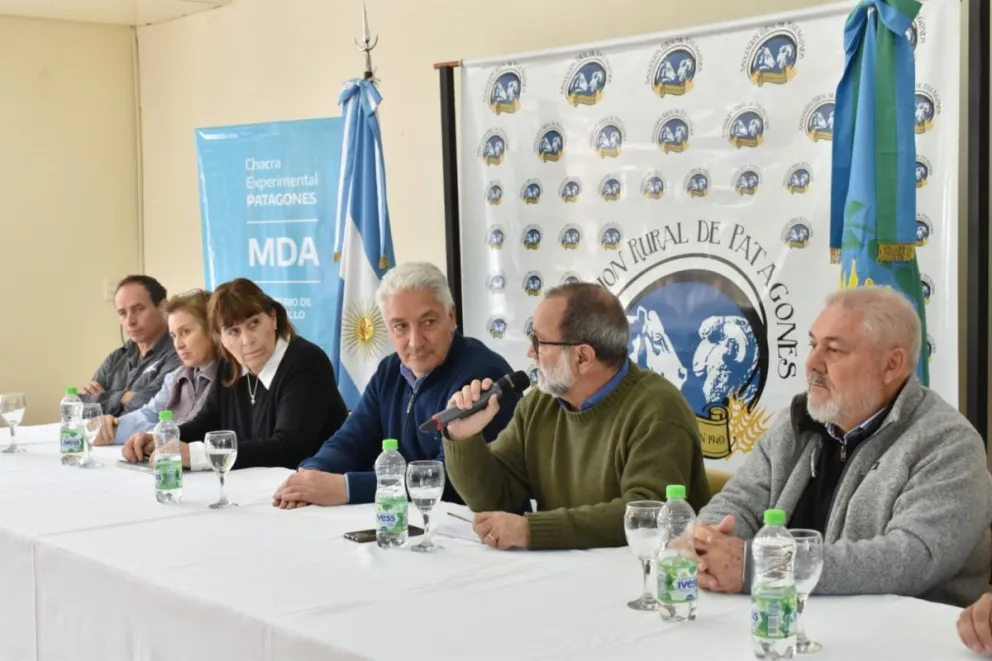 Pusieron en marcha el primer plan de control y erradicación de la sarna ovina