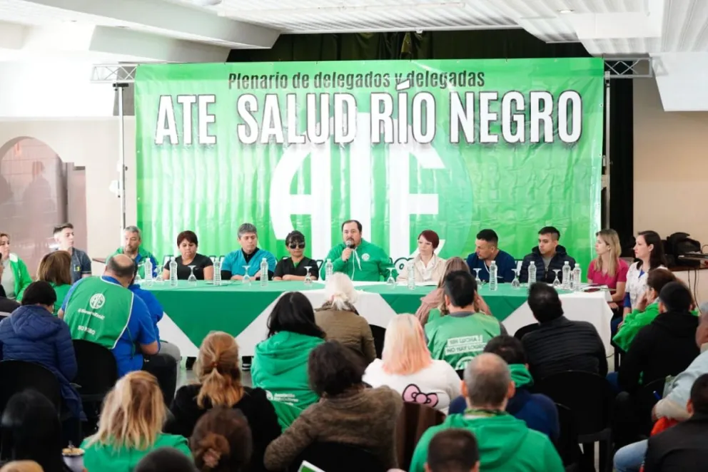El Plenario provincial de Salud de ATE resolvió un paro de 24 horas el 5 de octubre