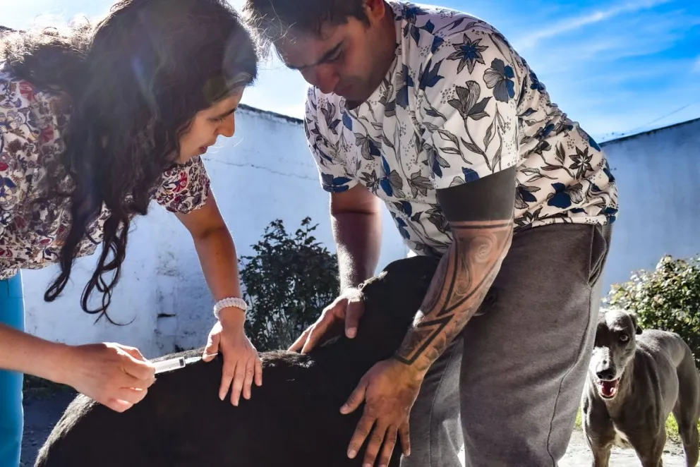 En la Semana de la Lucha contra la Rabia recomiendan vacunar a las mascotas