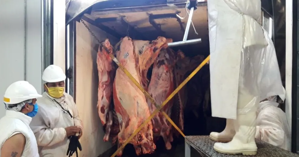 Deberán indemnizar a un camionero que sufrió un accidente al descargar una media res 