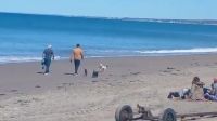 Indignados por la presencia de mascotas sin correa en las playas