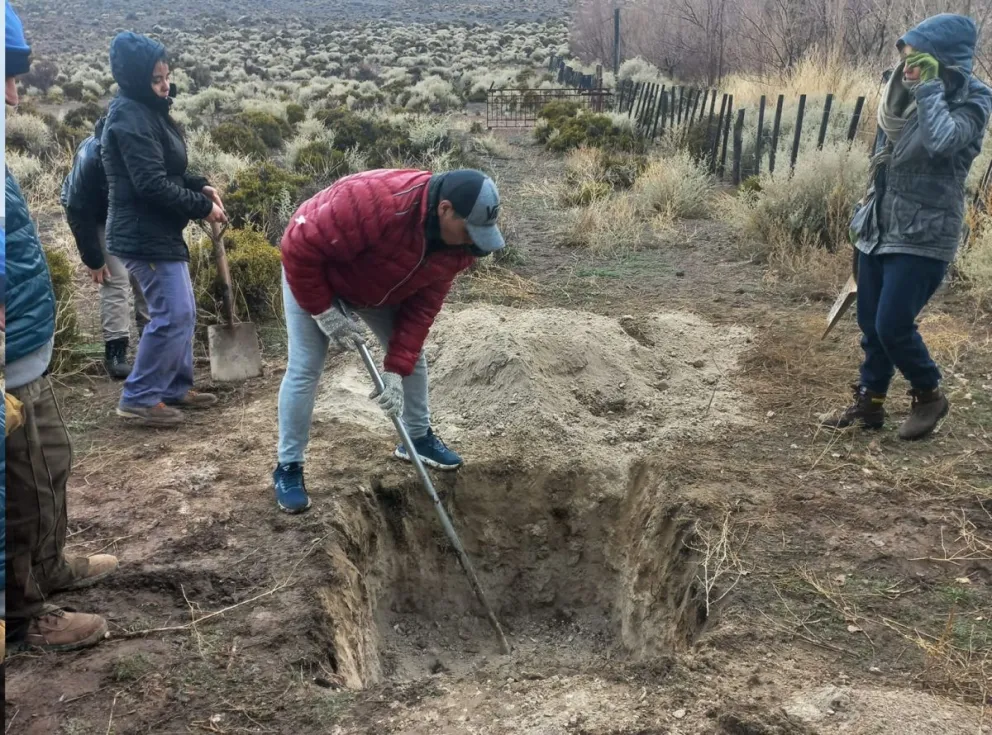 Preocupación en los productores: "Nosotros vendemos al dólar oficial y nuestros gastos están al dólar blue"