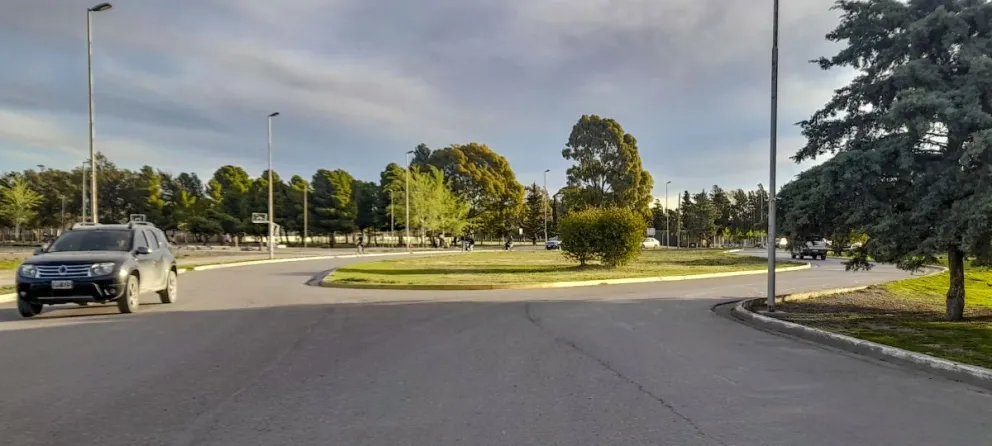 Tienen que elegir el árbol. Foto archivo.