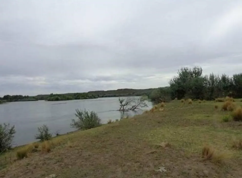 Un reconocido ganadero devastado: vivió un grave caso de abigeato en su campo