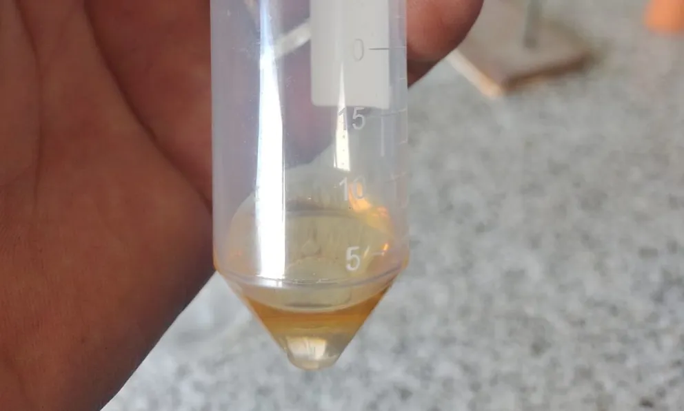 La base está: usan lúpulo del valle inferior para perfumar ambientes