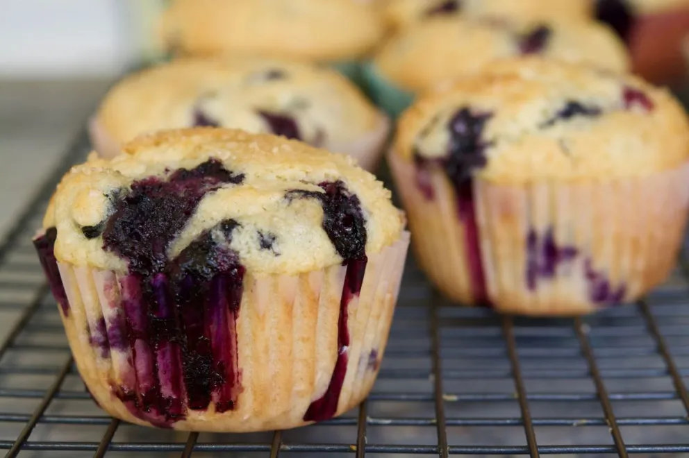 Para la merienda: muffins de arándanos sin manteca en 4 pasos