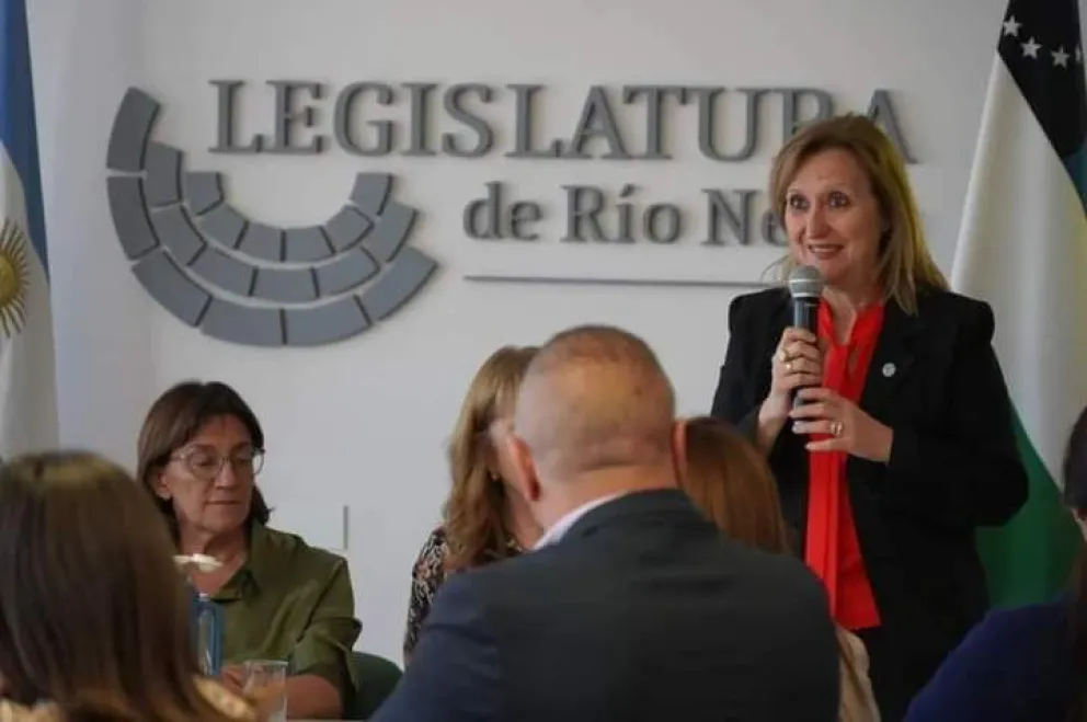 El CURZA presentó un proyecto de ley para extender su frontera 