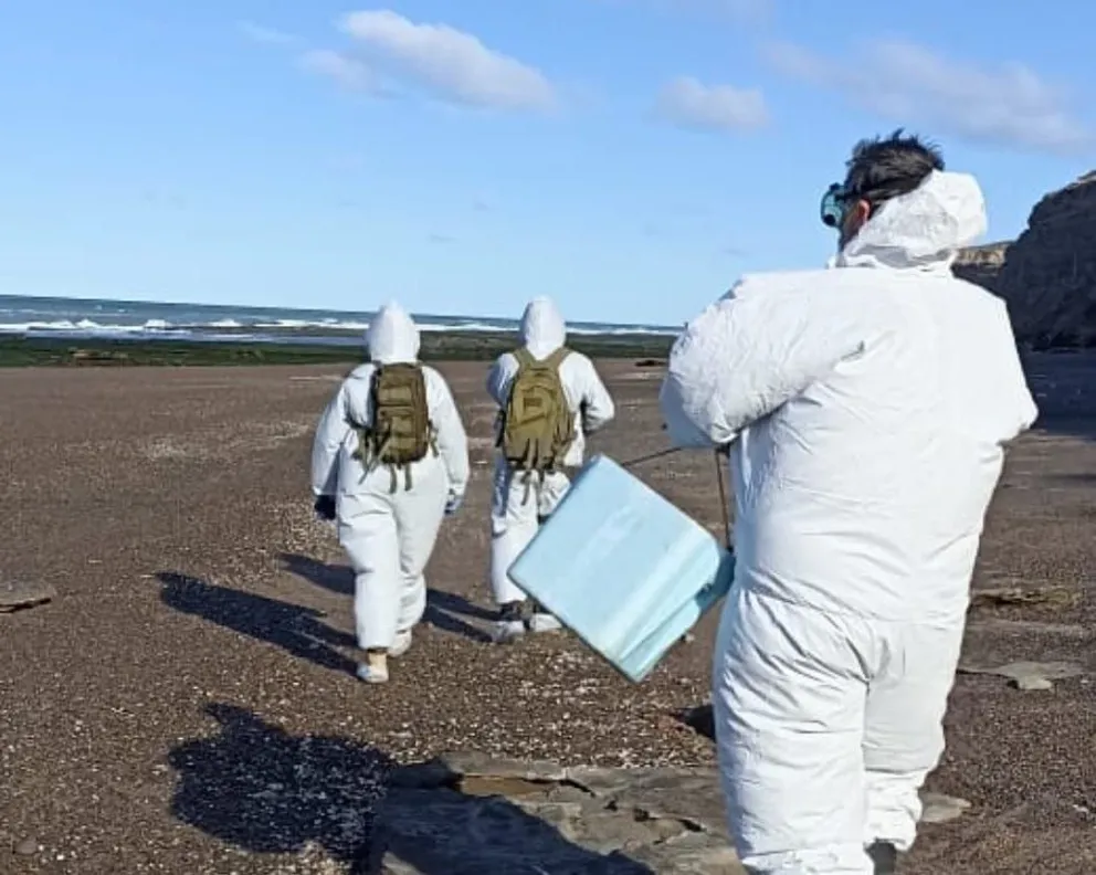 El municipio de Viedma exigió a Ambiente que informe el plan de mitigación por la Gripe Aviar 