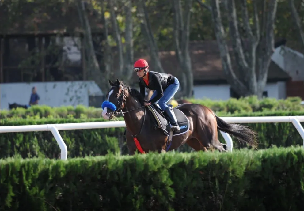 María Eugenia Schneider: “voy a ser la primer jocketa en asistir a una reunión en Viedma, me pone muy feliz”