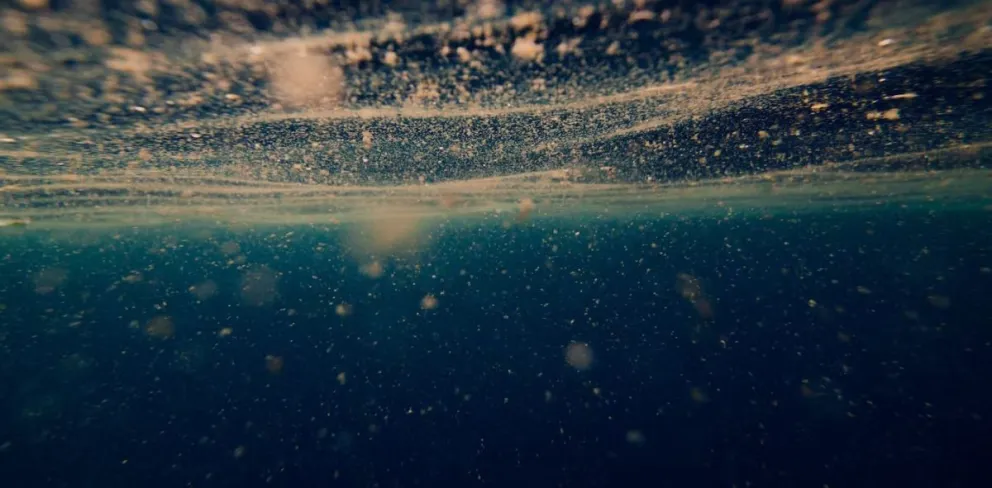 Descubren un nuevo virus mortal en las profundidades del Océano Pacífico: conoce más