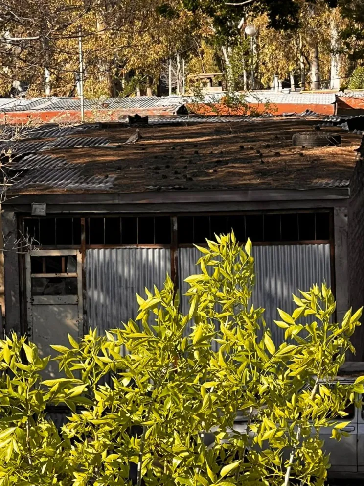 Vecino del Don Bosco denuncia un asentamiento lleno de suciedad: "Ha salido hasta una comadreja"