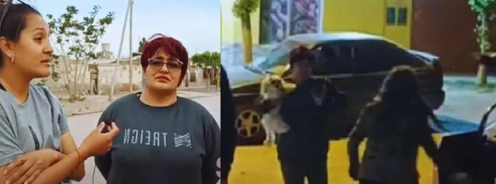 Denuncian a un sujeto por secuestrar y maltratar perros