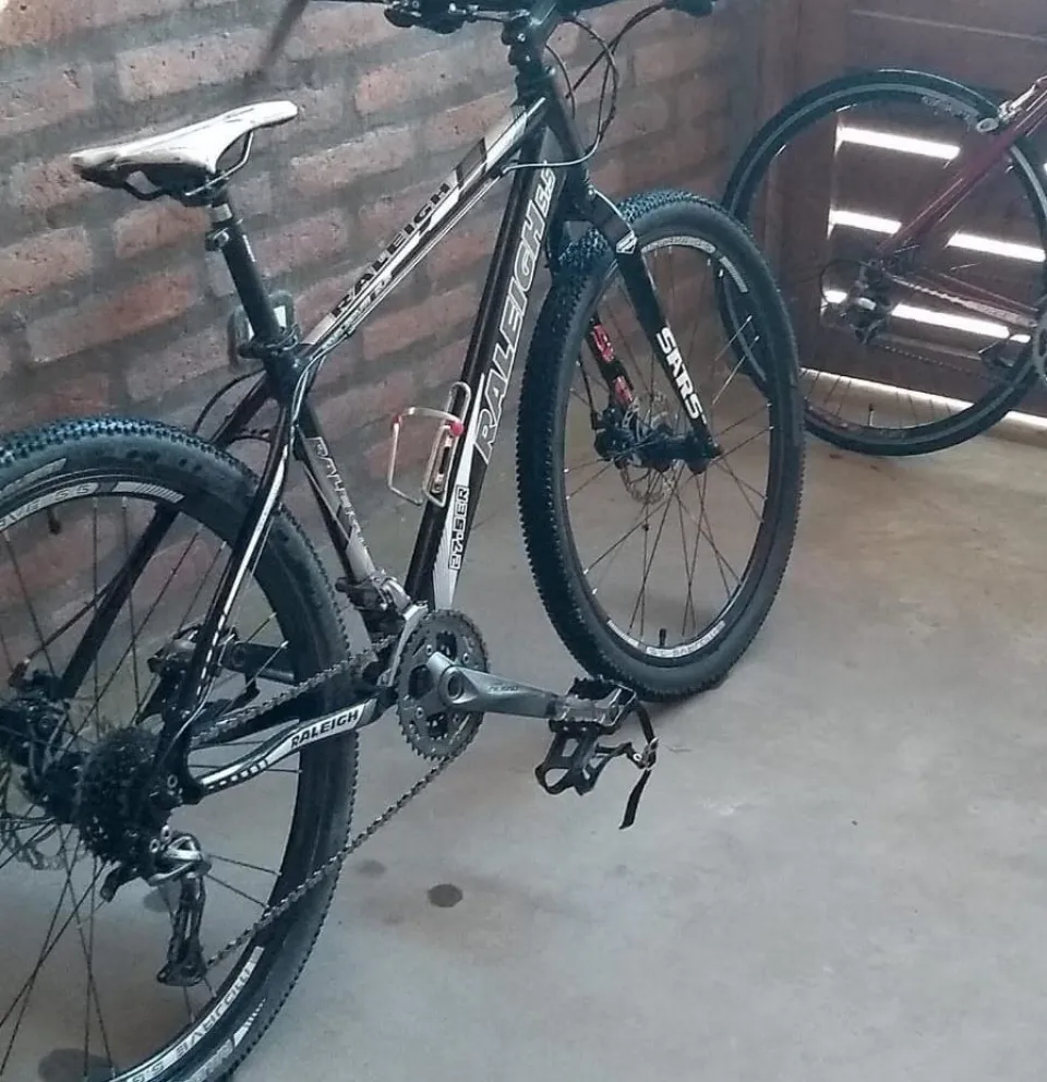 La veda electoral no frenó el delito y tres ladrones se metieron a una propiedad para robar