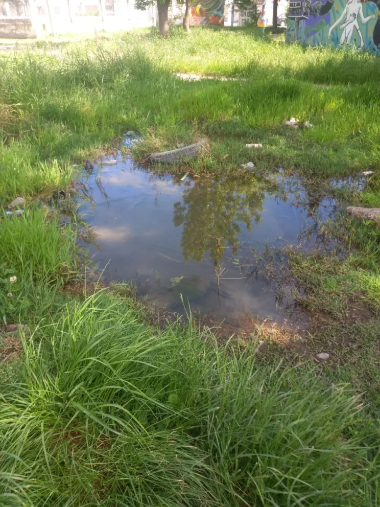 Se incrementa el malestar en el barrio Guido por los problemas generalizados