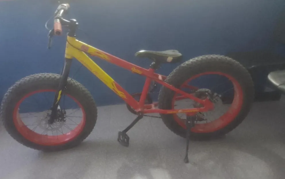 Policías recuperaron una rara bicicleta que había sido robada en septiembre