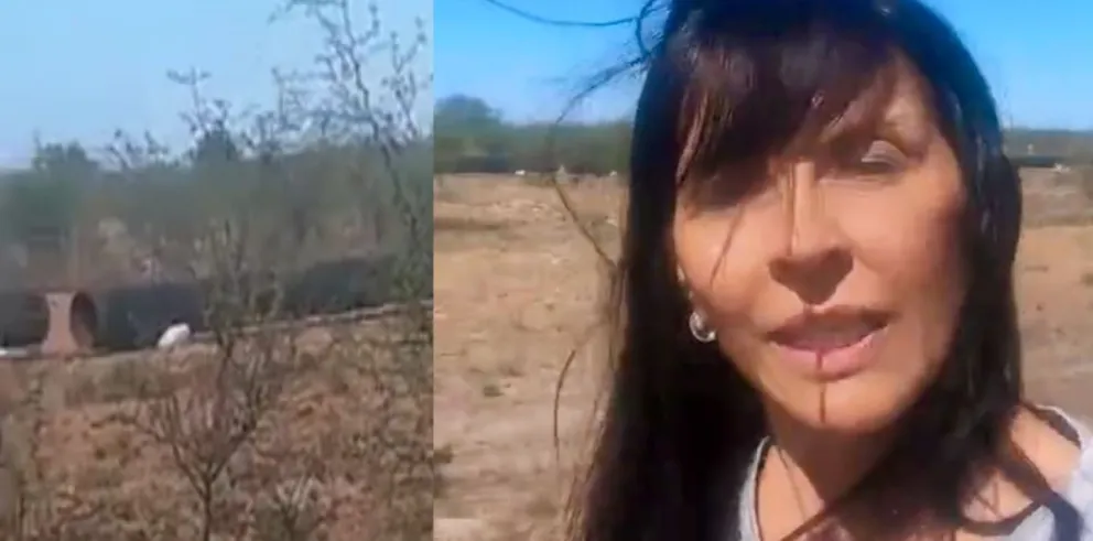 ¿Fake news o torpeza? La diputada rionegrina de Milei hizo una falsa denuncia