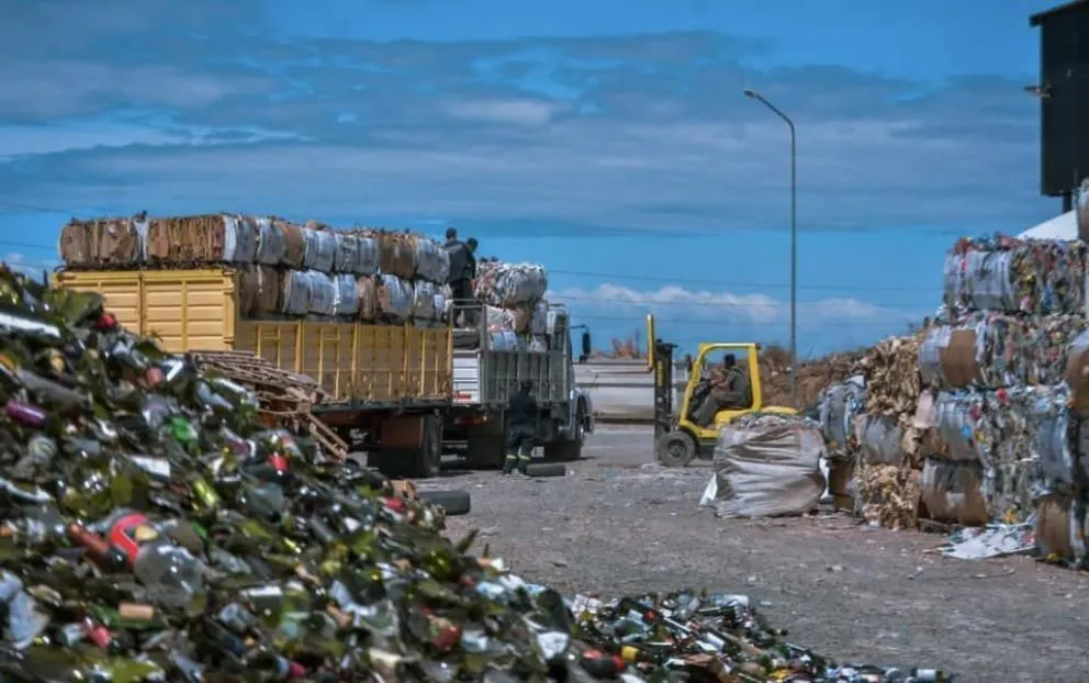 Delincuentes se metieron en la planta recicladora y se llenaron las manos
