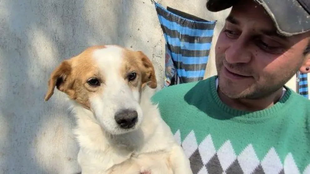 Murió "perrito malvado" y generó una gran tristeza en las redes sociales 