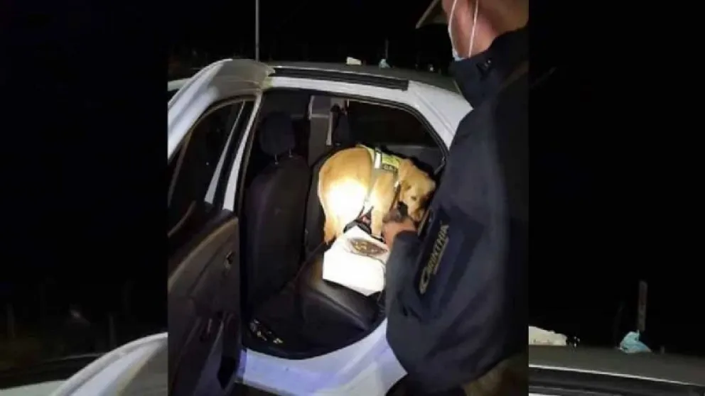 Detienen a un argentino con "droga zombie" en el paso fronterizo a Chile