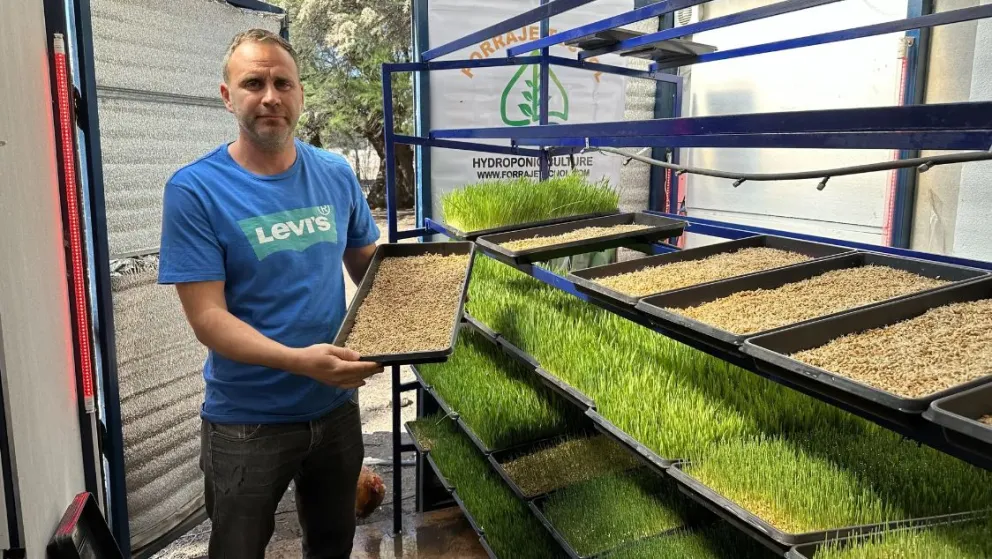 Viedma: una empresa desarrolla tecnología para forraje verde hidropónico