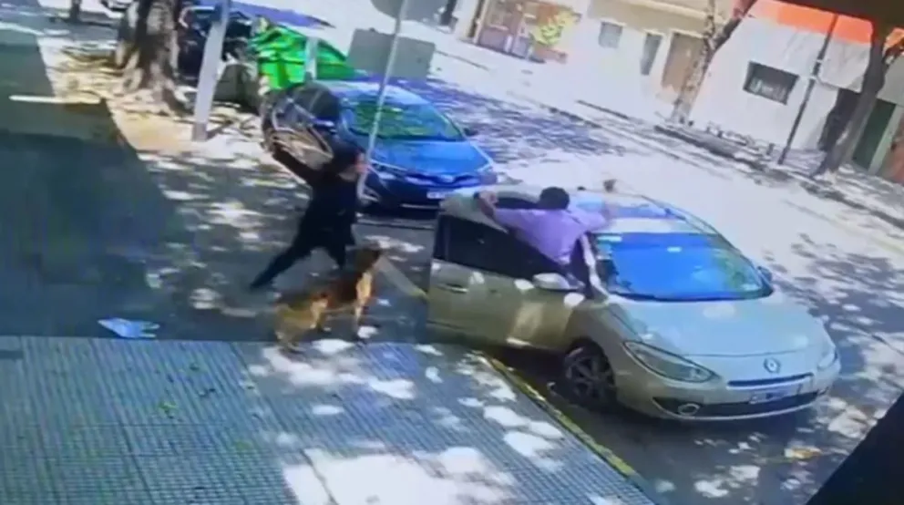 Video: atacó a su vecino con un palo cuando le pidió que limpie la caca de su perro
