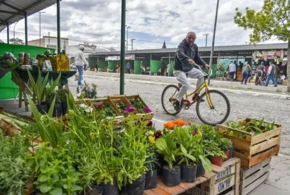 Este domingo 5 debuta la Feria de Artesanos en Viedma: carros gastronómicos, cerveceros y música en vivo