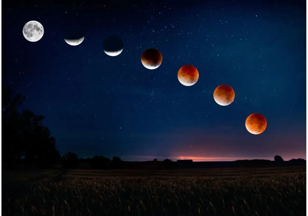 Calendario Lunar de Noviembre: descubre la energía de cada fase