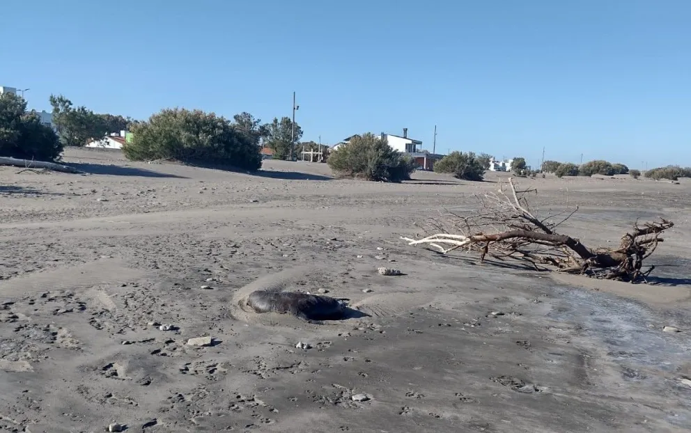 Los organismos meteorológicos no se ponen de acuerdo