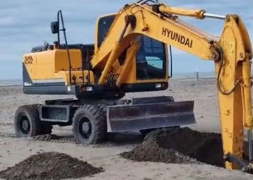 Intenso esfuerzo en El Cóndor para enterrar cadáveres de lobos marinos 