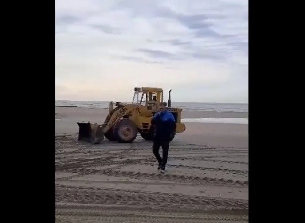 Durante el último fin de semana se enterraron 30 lobos muertos