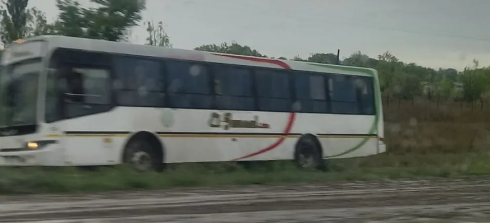 Un colectivo se despistó cerca del acceso a El Juncal: terminó encajado en la banquina 