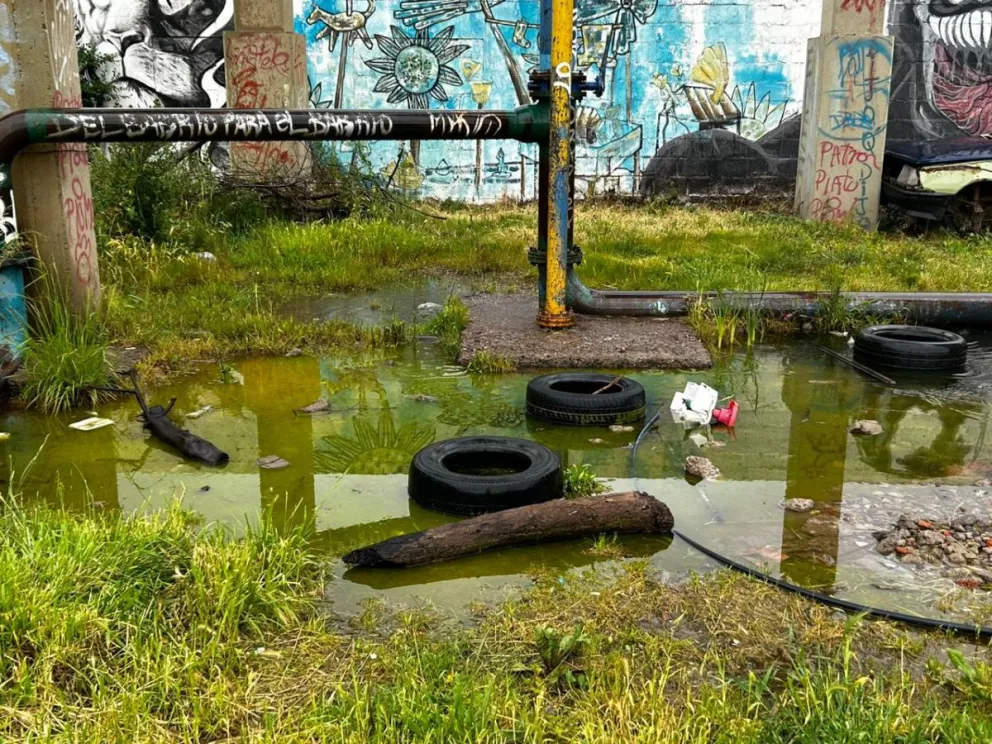 Jardín 62: cuando el abandono puede terminar en riesgo