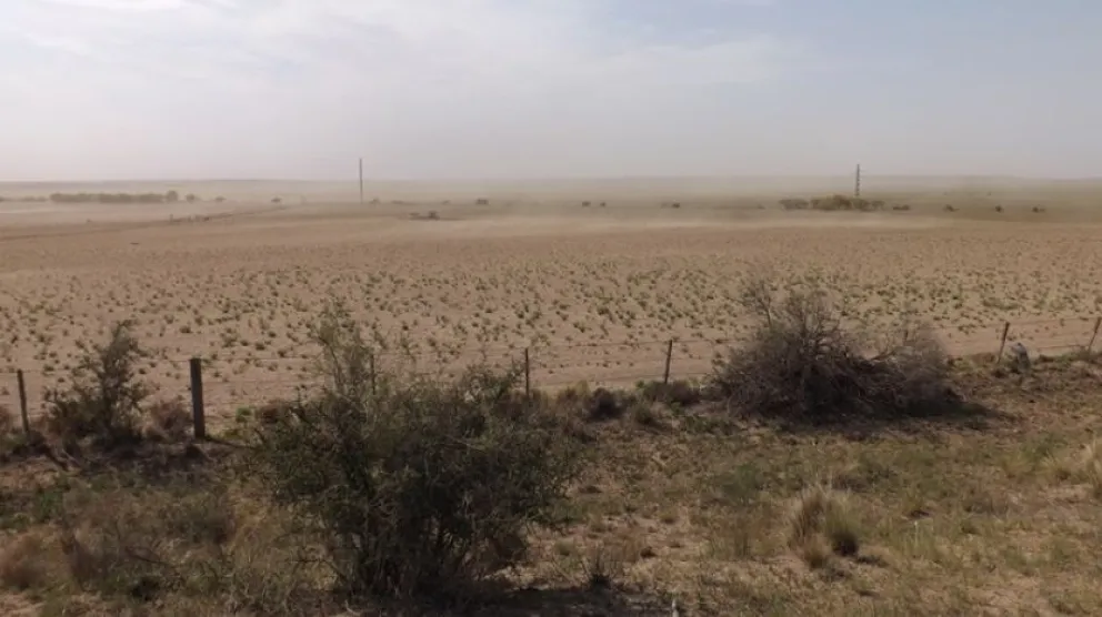 La mortandad de animales en la región por la sequía se vive ahora y en el futuro: “Va a repercutir para el año que viene”