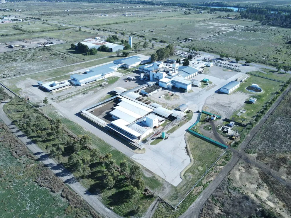 FRIDEVI y un proyecto de ampliación de la planta para incrementar el nivel de producción