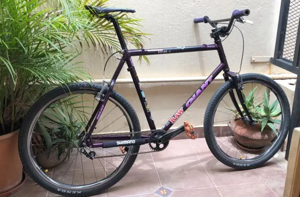 El masivo robo de bicicletas es una cadena que no se corta todavía