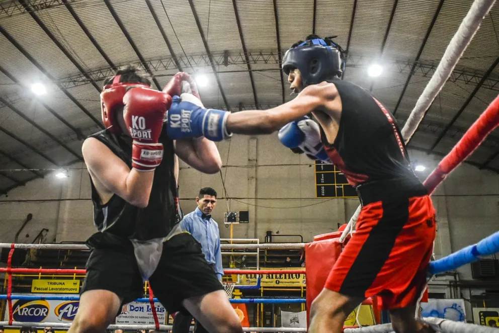 La Comisión tendrá un representante de cada zona de la provincia. 