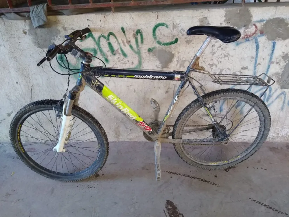 Le robaron la bicicleta a un emprendedor de Viedma: ingresaron a su casa y se la llevaron 