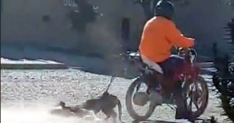 Brutal video: Un motociclista arrastra a un perro con su moto en el barrio Lavalle