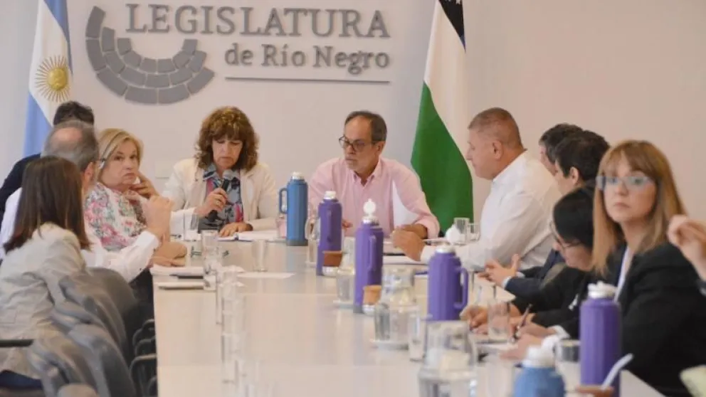 Reconocimiento y distinciones a rionegrinos: seis proyectos avanzaron en la comisión especial 