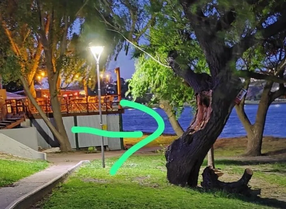 Alertan sobre veneno en la costanera capitalina: piden precaución con niños y mascotas 