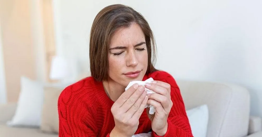 Los trucos caseros para mantener tu hogar limpio y evitar alergias