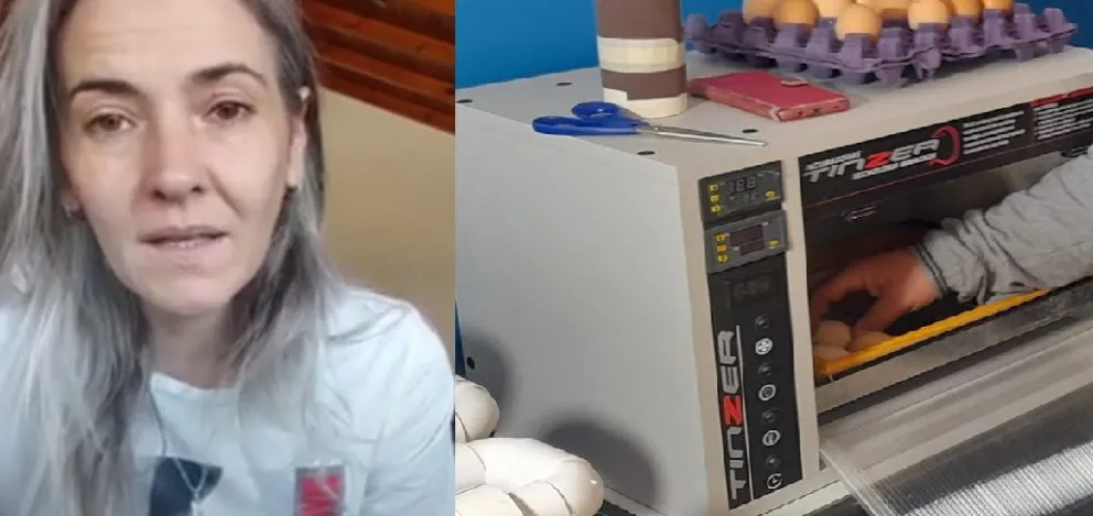 “No puedo creer que haya tantos hijos de re mil putas dando vueltas”: la bronca de una mamá tras un robo en la escuela de El Dique