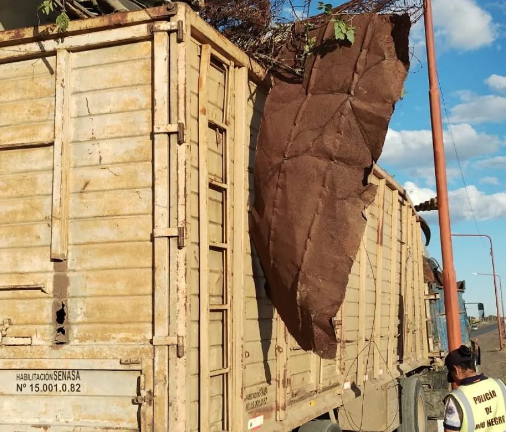 Un camión chatarrero enganchó un semáforo y provocó destrozos