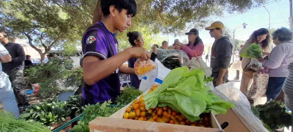  Feria Agroecológica Viedma: “Estoy comprando al mismo precio, así que no aumenté nada”