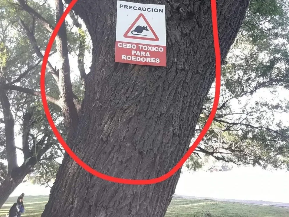 Enojo en la comunidad por envenenamiento de perros en la costanera 